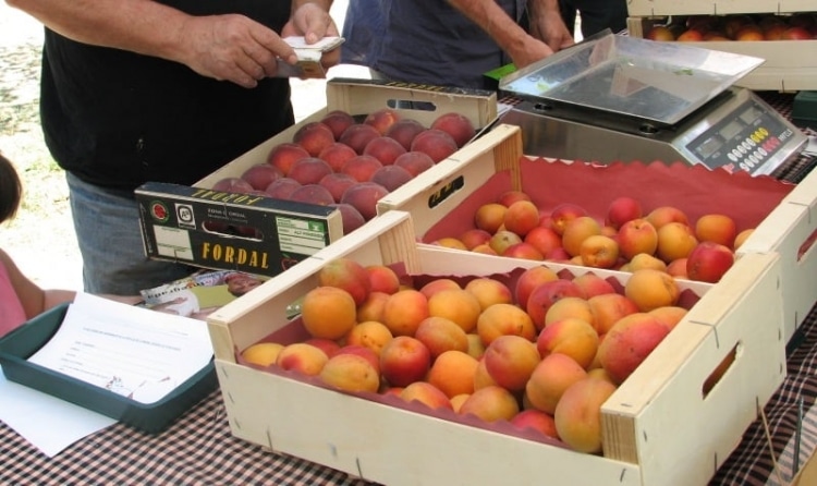 Mercat de Fruita Dolça